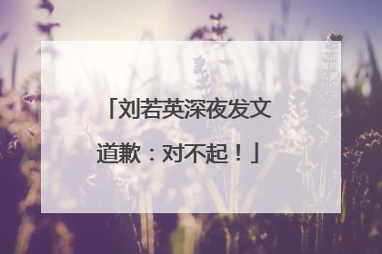 刘若英深夜发文道歉：对不起！
