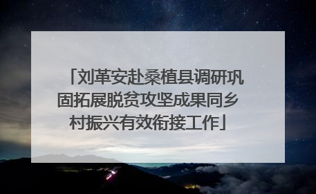 刘革安赴桑植县调研巩固拓展脱贫攻坚成果同乡村振兴有效衔接工作