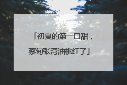初夏的第一口甜，蔡甸张湾油桃红了