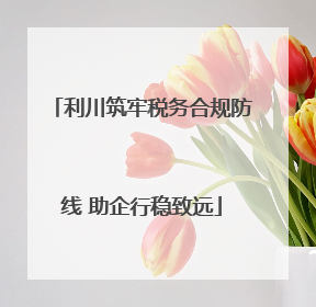 利川筑牢税务合规防线 助企行稳致远