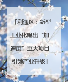 利通区：新型工业化跑出“加速度”重大项目引领产业升级