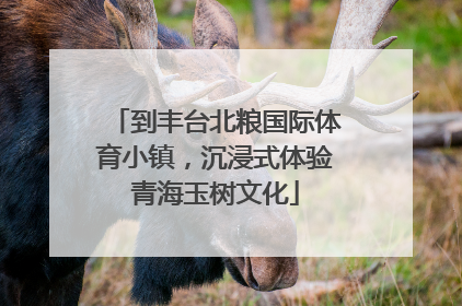 到丰台北粮国际体育小镇，沉浸式体验青海玉树文化