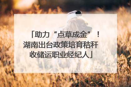 助力“点草成金”！湖南出台政策培育秸秆收储运职业经纪人