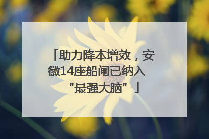 助力降本增效，安徽14座船闸已纳入“最强大脑”