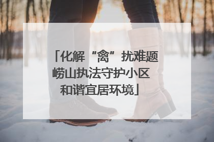 化解“禽”扰难题 崂山执法守护小区和谐宜居环境