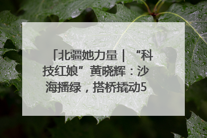 北疆她力量｜“科技红娘”黄晓辉：沙海播绿，搭桥撬动5.3亿研发