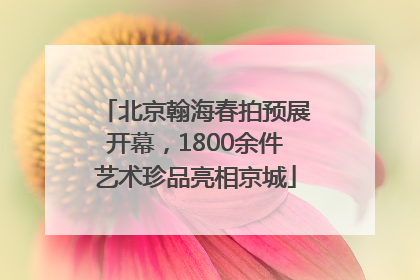 北京翰海春拍预展开幕，1800余件艺术珍品亮相京城