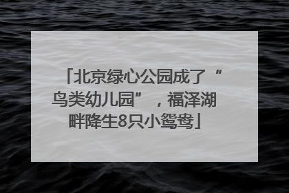 北京绿心公园成了“鸟类幼儿园”，福泽湖畔降生8只小鸳鸯