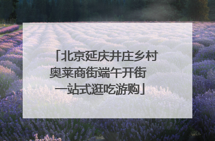 北京延庆井庄乡村奥莱商街端午开街 一站式逛吃游购