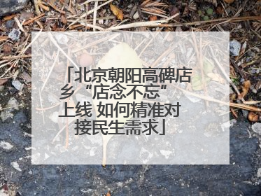 北京朝阳高碑店乡“店念不忘” 上线 如何精准对接民生需求