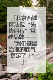 北京西城区法院“先锋同行”党建品牌——“我们基层治理的底气更足了！”