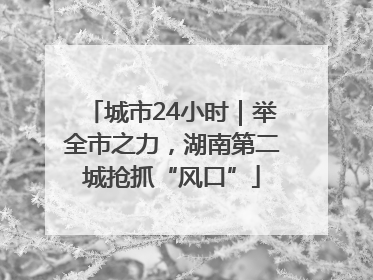 城市24小时｜举全市之力，湖南第二城抢抓“风口”