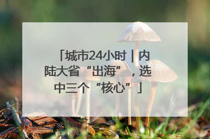 城市24小时｜内陆大省“出海”，选中三个“核心”