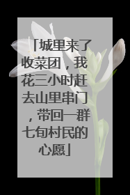 城里来了收菜团，我花三小时赶去山里串门，带回一群七旬村民的心愿