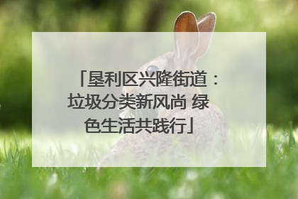 垦利区兴隆街道：垃圾分类新风尚 绿色生活共践行