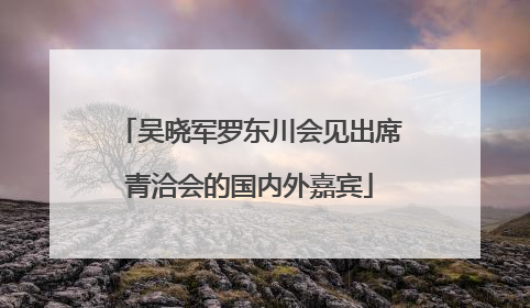 吴晓军罗东川会见出席青洽会的国内外嘉宾