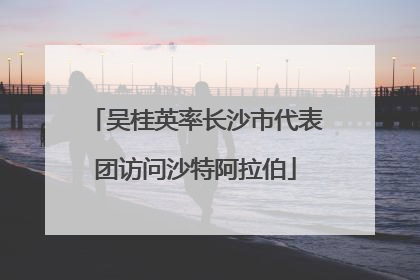 吴桂英率长沙市代表团访问沙特阿拉伯