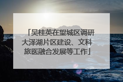 吴桂英在望城区调研大泽湖片区建设、文科旅医融合发展等工作