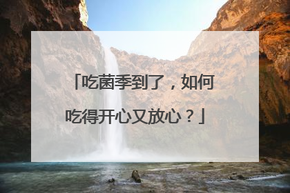 吃菌季到了，如何吃得开心又放心？