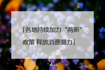 各地持续加力“两新”政策 释放消费潜力