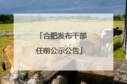 合肥发布干部任前公示公告