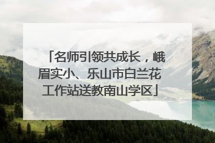名师引领共成长，峨眉实小、乐山市白兰花工作站送教南山学区