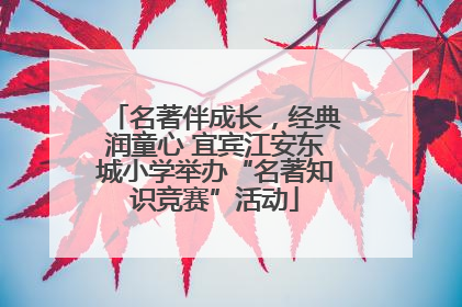 名著伴成长，经典润童心 宜宾江安东城小学举办“名著知识竞赛”活动