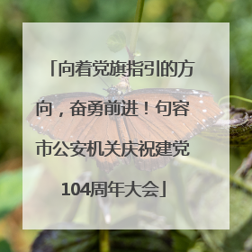 向着党旗指引的方向，奋勇前进！句容市公安机关庆祝建党104周年大会