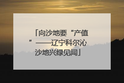 向沙地要“产值”——辽宁科尔沁沙地兴绿见闻