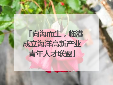向海而生，临港成立海洋高新产业青年人才联盟