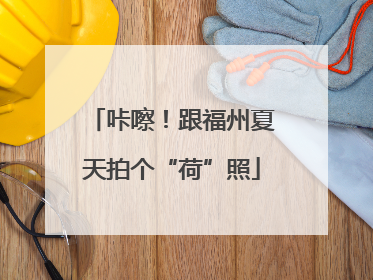 咔嚓！跟福州夏天拍个“荷”照