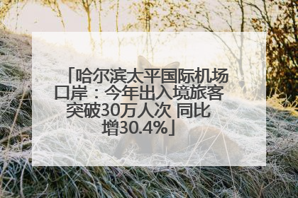 哈尔滨太平国际机场口岸：今年出入境旅客突破30万人次 同比增30.4%
