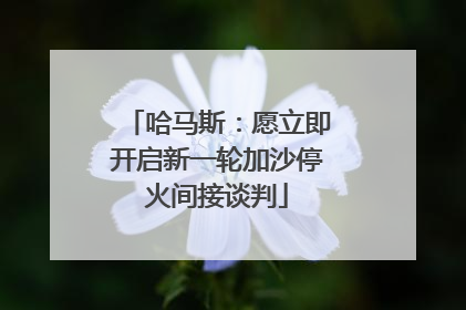 哈马斯：愿立即开启新一轮加沙停火间接谈判