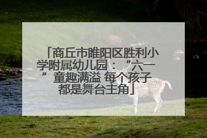 商丘市睢阳区胜利小学附属幼儿园：“六一”童趣满溢 每个孩子都是舞台主角