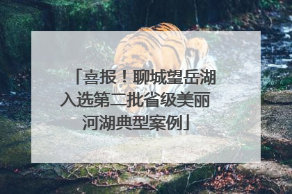 喜报！聊城望岳湖入选第二批省级美丽河湖典型案例
