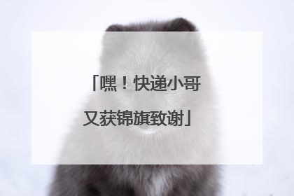 嘿！快递小哥又获锦旗致谢