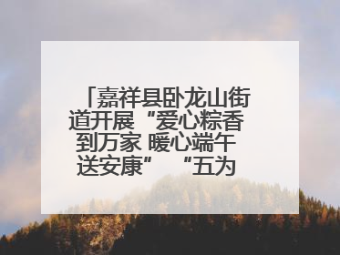 嘉祥县卧龙山街道开展“爱心粽香到万家 暖心端午送安康” “五为”志愿服务活动