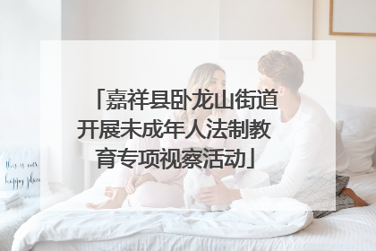 嘉祥县卧龙山街道开展未成年人法制教育专项视察活动