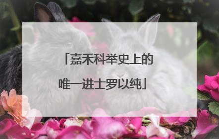 嘉禾科举史上的唯一进士罗以纯