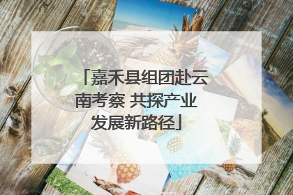 嘉禾县组团赴云南考察 共探产业发展新路径
