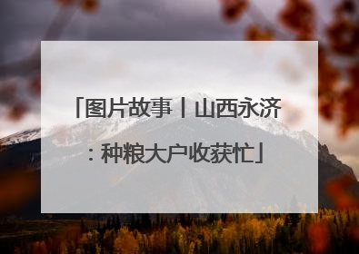 图片故事丨山西永济：种粮大户收获忙