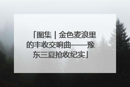 图集｜金色麦浪里的丰收交响曲——豫东三夏抢收纪实