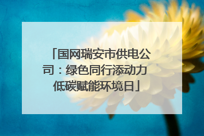 国网瑞安市供电公司：绿色同行添动力 低碳赋能环境日