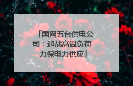 国网五台供电公司：迎战高温负荷 力保电力供应
