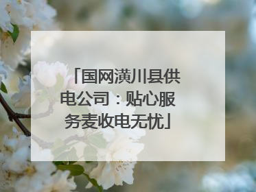 国网潢川县供电公司：贴心服务麦收电无忧