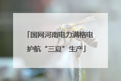 国网河南电力满格电护航“三夏”生产