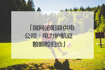 国网泌阳县供电公司：电力护航夏粮颗粒归仓