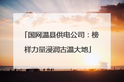 国网温县供电公司：榜样力量浸润古温大地