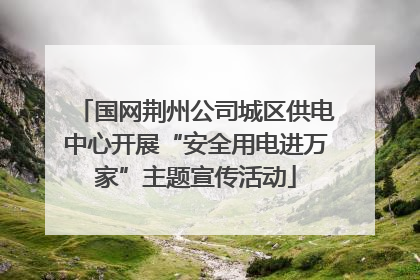 国网荆州公司城区供电中心开展“安全用电进万家”主题宣传活动