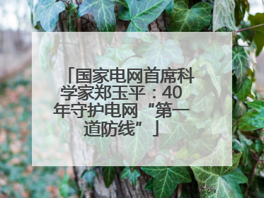 国家电网首席科学家郑玉平：40年守护电网“第一道防线”